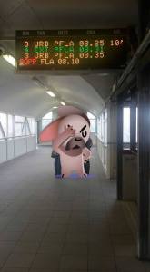 Foto dal gruppo facebook Comitato Pendolari Ferrovia Roma Nord